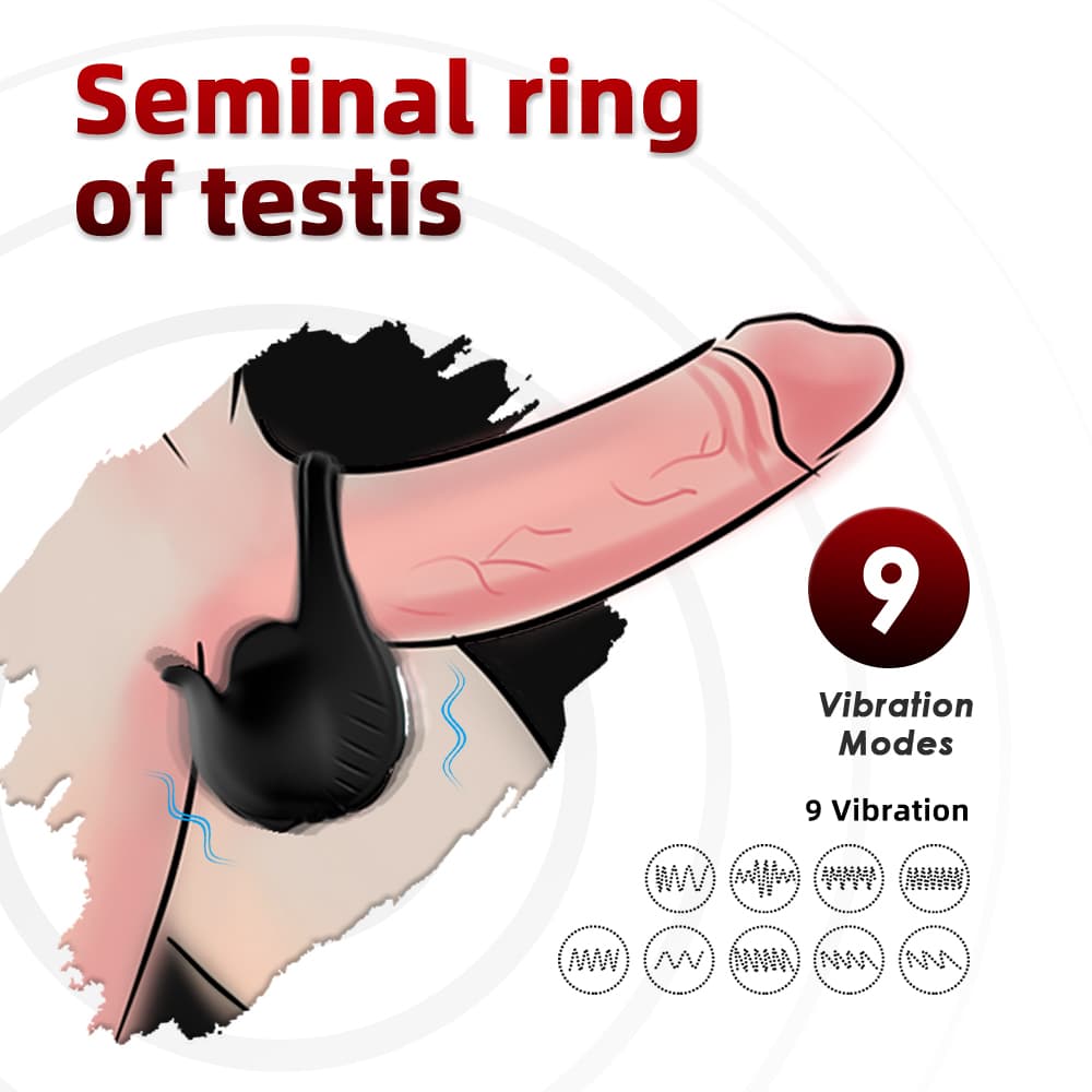 Wellco Adult PRIME TOYS Lock Şarjlı Kablosuz Kumandalı Testis Masaj Vibratörü Güçlü Titreşimli Penis Yüzüğü - 2